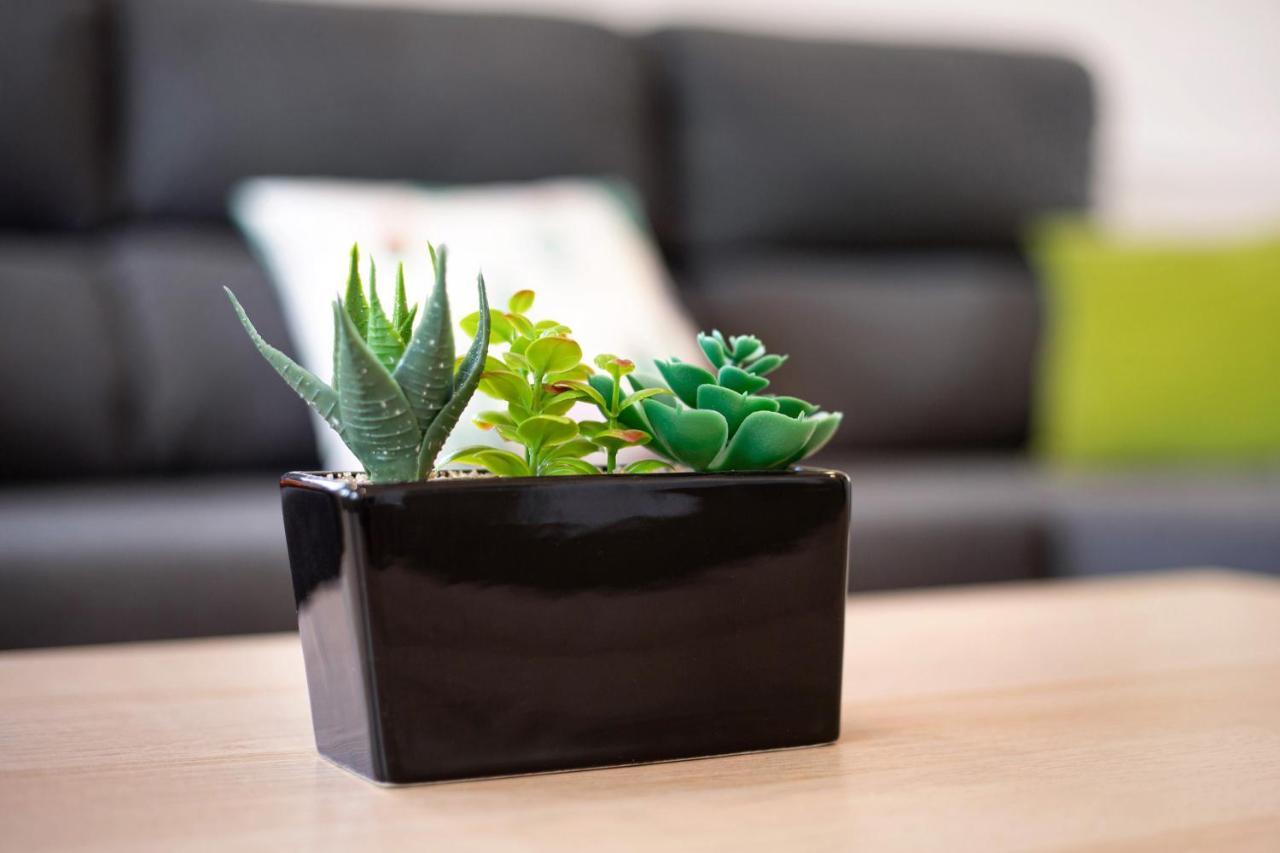 Вилла Casa Cactus Антигуа Экстерьер фото